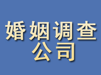 点军婚姻调查公司