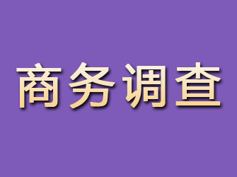 点军商务调查